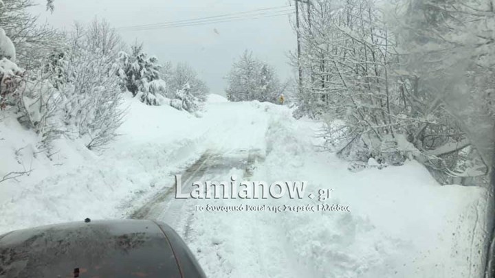Αίσιο τέλος για τους 50 εκδρομείς που εγκλωβίστηκαν από τα χιόνια στο Γαρδίκι – ΦΩΤΟ