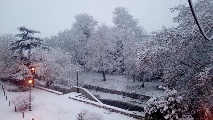 Το «έστρωσε» σε Φάρσαλα και Ελασσόνα – ΦΩΤΟ