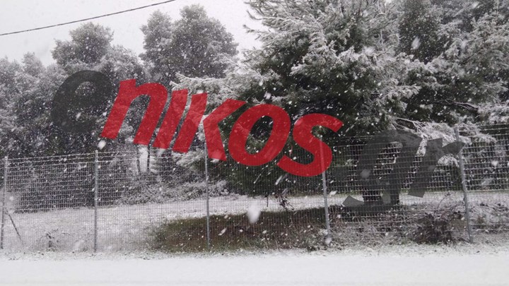 ΦΩΤΟ αναγνώστη από τη χιονισμένη Μαλακάσα