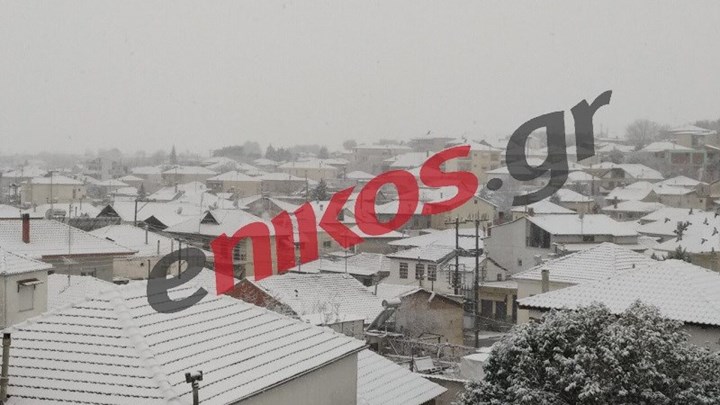 Κατάλευκη η Χωριστή Δράμας από την ολονύχτια χιονόπτωση – ΦΩΤΟ αναγνώστη