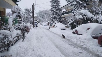 Στην “κατάψυξη” η Βόρεια Ελλάδα – Στους -19 βαθμούς ο υδράργυρος σε Φλώρινα και Πτολεμαΐδα