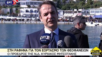 Μητσοτάκης: Φώτιση και Καμμένος είναι δύο έννοιες που δεν πηγαίνουν μαζί – ΒΙΝΤΕΟ
