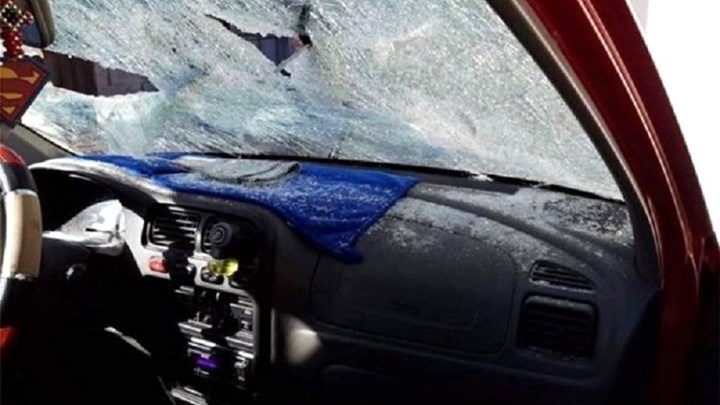 Άγριο ξύλο σε κοπή πίτας σε καφενείο της Λέσβου – ΦΩΤΟ