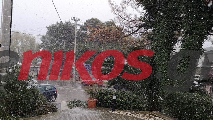 Πυκνή χιονόπτωση στη Δροσιά – ΦΩΤΟ αναγνώστη