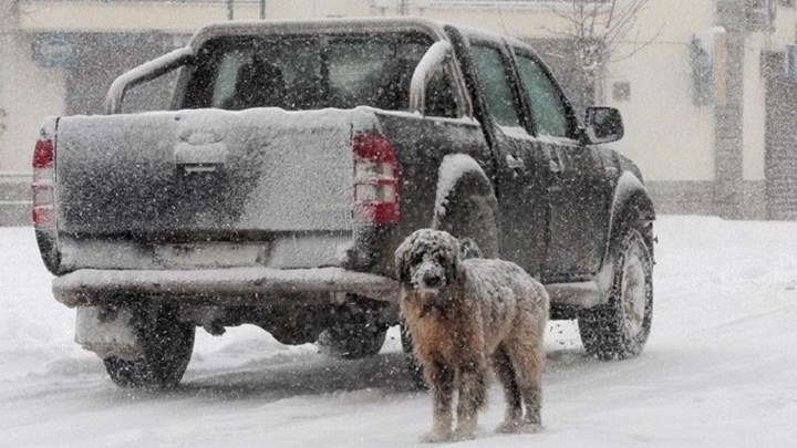 Κλειστά όλα τα σχολεία και οι βρεφονηπιακοί σταθμοί στην Αθήνα