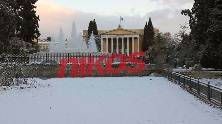 Ολόλευκο το τοπίο και στο Ζάππειο – ΦΩΤΟ αναγνώστη