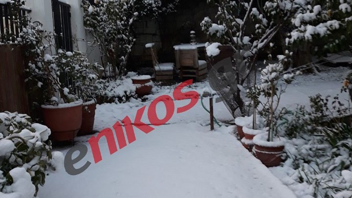 Πυκνό χιόνι σκέπασε τα Άνω Λιόσια – ΦΩΤΟ αναγνώστη