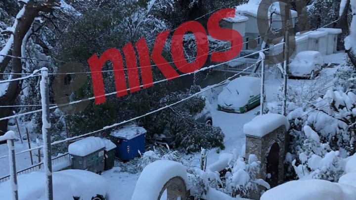 Κορμός δέντρου έπεσε σε αυτοκίνητο στον Άγιο Στέφανο – ΦΩΤΟ αναγνώστη