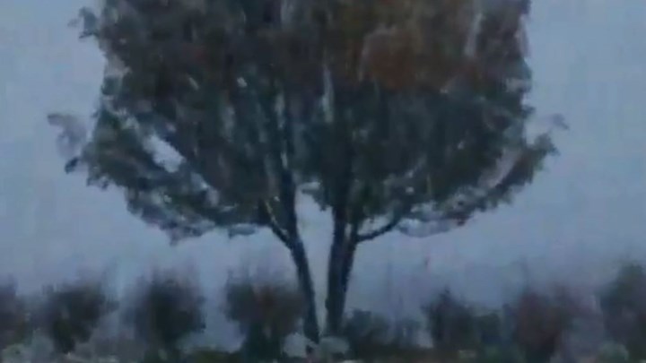 Χιονοκαταιγίδα: Το σπάνιο φυσικό φαινόμενο που «χτύπησε» το Ηράκλειο – ΒΙΝΤΕΟ