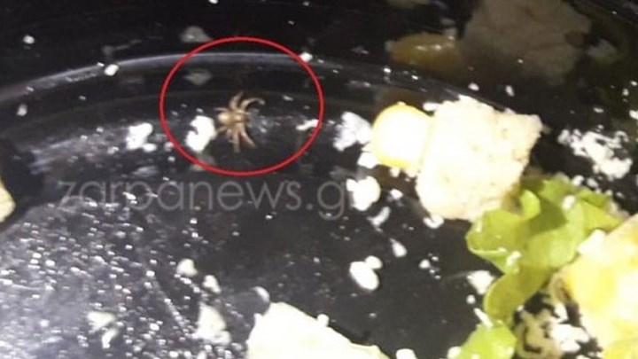 Τους σέρβιραν σαλάτα με… αράχνη σε σουβλατζίδικο – ΦΩΤΟ