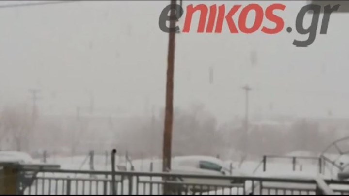 Μαίνεται η “Υπατία” στην Κοζάνη – Πυκνή χιονόπτωση – ΒΙΝΤΕΟ αναγνώστη