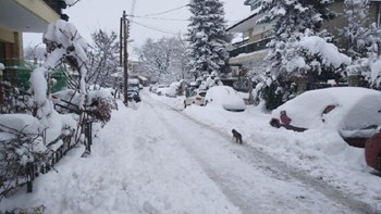 Επιχείρηση για τον απεγκλωβισμό φύλακα στο πάρκο κεραιών Χορτιάτη