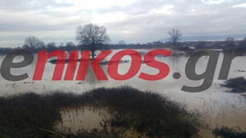 Πλημμύρισε η Ροδόπη από τη σφοδρή βροχόπτωση – ΦΩΤΟ και ΒΙΝΤΕΟ αναγνώστη