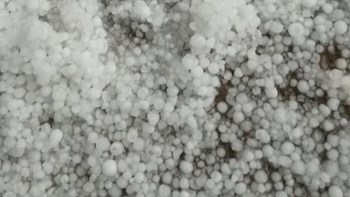 Εικόνες καταστροφής στη Λακωνία – Χαλάζι ισοπέδωσε τις καλλιέργειες – ΦΩΤΟ