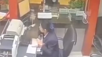 Όταν σου έρχεται ξαφνικά στο κεφάλι μία… γάτα – ΒΙΝΤΕΟ