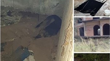 Φιλόζωοι καταγγέλλουν ότι άνδρας σκοτώνει σκύλους εγκλωβίζοντάς τους σε οικοδομή- ΦΩΤΟ