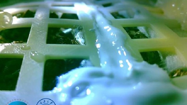 Βλάστησε σπόρος βαμβακιού στη Σελήνη