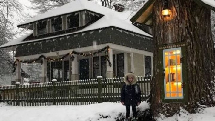 Κορμός δέντρου 110 ετών έγινε βιβλιοθήκη – ΦΩΤΟ