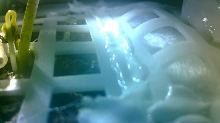 Απογοήτευση για την Κίνα – Πέθαναν λόγω του κρύου τα πρώτα φυτά που βλάστησαν στο φεγγάρι