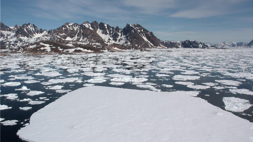 Αρκτική: Άνοδος της θερμοκρασίας και εξαφάνιση ειδών – Οι συνέπειες