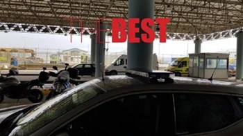 Εισαγγελική παρέμβαση για βαν γεμάτα με γάτες και σκύλους στο λιμάνι της Πάτρας – ΦΩΤΟ