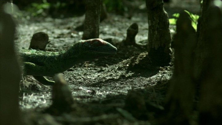 Πώς η κατάρρευση των τροπικών δασών 307 εκατομμύρια χρόνια πριν επηρέασε την εξέλιξη των χερσαίων σπονδυλωτών