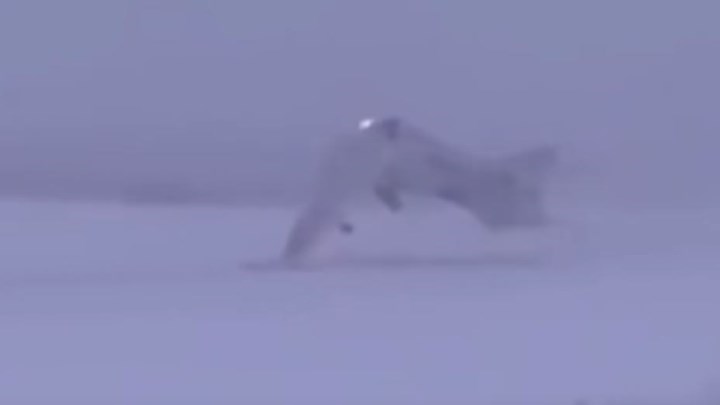 Βίντεο σοκ από τη συντριβή αεροσκάφους στη Ρωσία