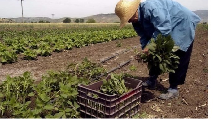 Σας ενδιαφέρει: Πότε αρχίζει η υποβολή αιτήσεων για τις αγροτικές επιδοτήσεις των 14.000 ευρώ