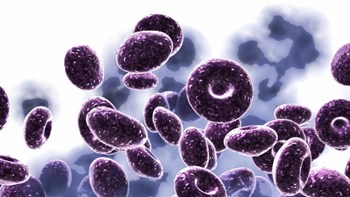 Συμβάλλει η συμπεριφορά στην εξάπλωση των ασθενειών; – Τι αποκαλύπτει μαθηματικό μοντέλο