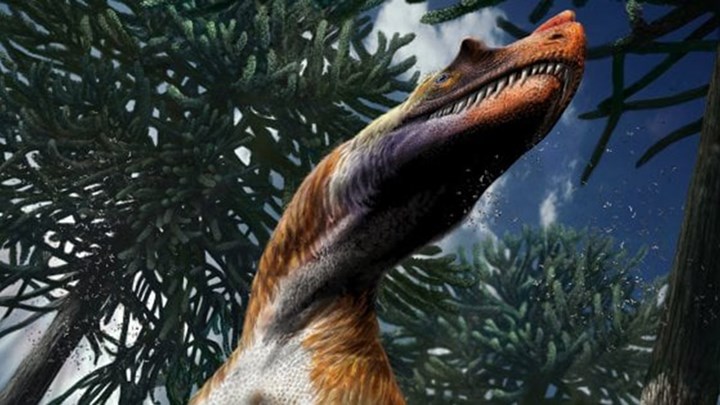 Σαλτριοβενάτωρ, ο κορυφαίος θηρευτής του πρώιμου Ιουρασικού