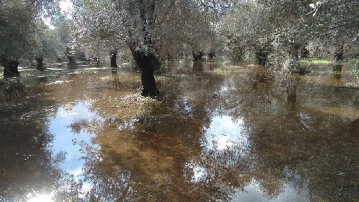 Πλημμύρες στη Λέσβο από τις έντονες βροχοπτώσεις – ΦΩΤΟ