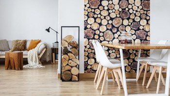 Αυτός είναι ο λόγος που δεν πρέπει να αποθηκεύετε τα ξύλα για το τζάκι μέσα στο σπίτι