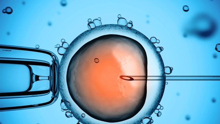 Πόσο κινδυνεύουν από καρκίνο τα παιδιά από εξωσωματική γονιμοποίηση
