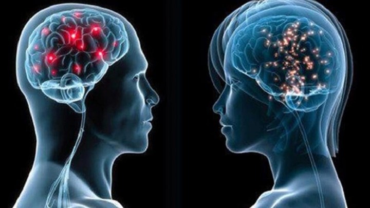 Γιατί η βιολογική ηλικία του εγκεφάλου των γυναικών είναι μικρότερη από των ανδρών