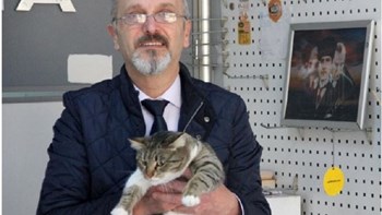 Καταδικάστηκε σε φυλάκιση επειδή μια γάτα… τραυμάτισε πελάτισσα