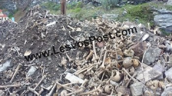 Σοκ στη Λέσβο: Πέταξαν οστά νεκρών στη μέση του δρόμου – ΦΩΤΟ