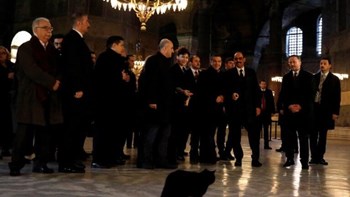 Τι λέει για τη… μαύρη γάτα η αρχαιολόγος που ξενάγησε τον Τσίπρα στην Αγία Σοφία – ΒΙΝΤΕΟ