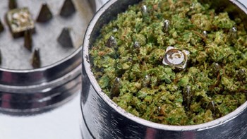 Είχε στο σπίτι του 105 κιλά κάνναβης