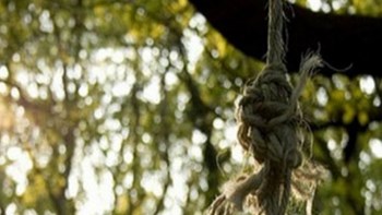 Σοκ στην Εύβοια – 91χρονος κρεμάστηκε από ελιά