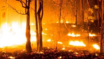 Συναγερμός στη βόρεια Ισπανία: Πλήττεται από σχεδόν 50 πυρκαγιές