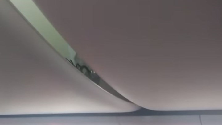 Τρόμος σε πτήση – Επιβάτες εντόπισαν σκορπιό πάνω από τα κεφάλια τους – ΒΙΝΤΕΟ