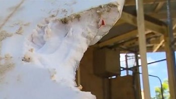 Λευκός καρχαρίας επιτέθηκε σε σέρφερ – ΒΙΝΤΕΟ