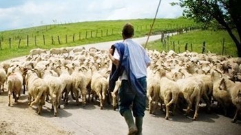 Παραδειγματική τιμωρία από το Πλημμελειοδικείο Βόλου σε πολίτη που εξαπατούσε κτηνοτρόφους