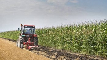 ΕΦΚΑ: Πότε δεν καταβάλλονται εισφορές για εισόδημα από αγροτική δραστηριότητα