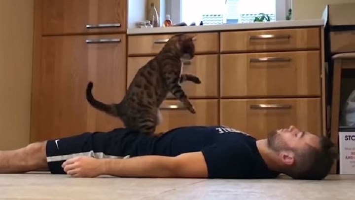 Επικό βίντεο: Γάτα προσφέρει τις…πρώτες βοήθειες – ΒΙΝΤΕΟ