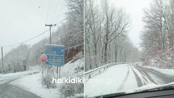 Στα λευκά “ντύθηκε” η Χαλκιδική – Πού χρειάζονται αντιολισθητικές αλυσίδες – ΦΩΤΟ – ΒΙΝΤΕΟ