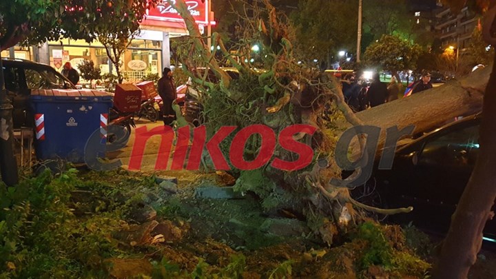 Δέντρο καταπλάκωσε αυτοκίνητα στη Νέα Σμύρνη – ΦΩΤΟ αναγνώστη