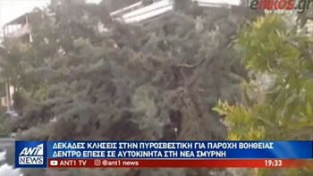 Δέντρο έπεσε σε αυτοκίνητο γνωστού ηθοποιού – Τι δηλώνει ο ίδιος στον ΑΝΤ1 -ΒΙΝΤΕΟ