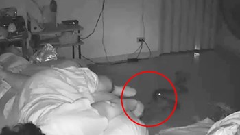 Βίντεο που σοκάρει – Πύθωνας δαγκώνει το πόδι 75χρονης – ΒΙΝΤΕΟ