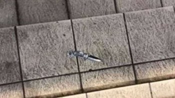 Σοκ: “Ντου” χούλιγκαν με ρόπαλα και μαχαίρια στον αγώνα πόλο γυναικών Ολυμπιακός – Γλυφάδα – ΦΩΤΟ